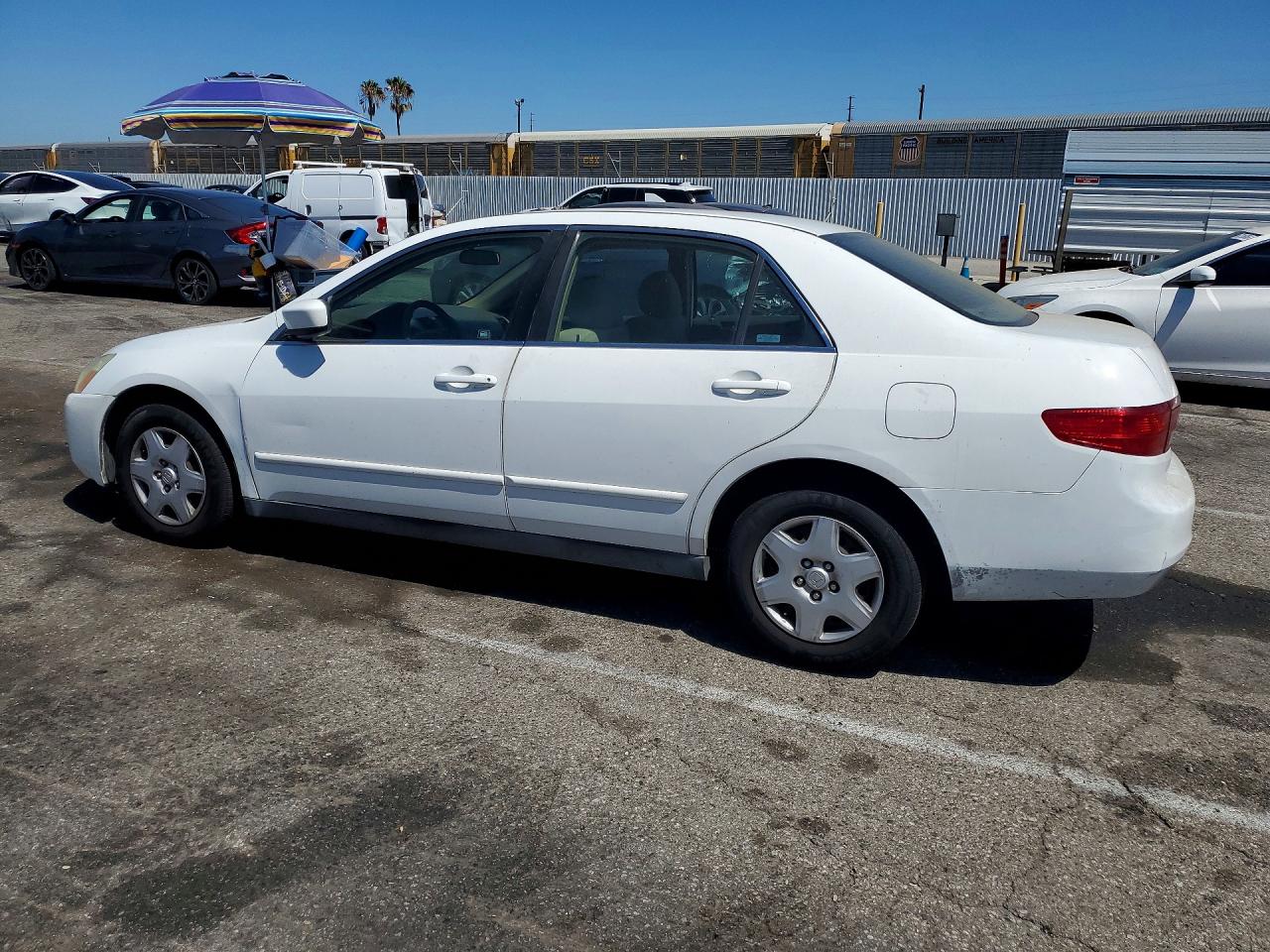 2005 Honda Accord Lx White vin: 1HGCM56405A092898