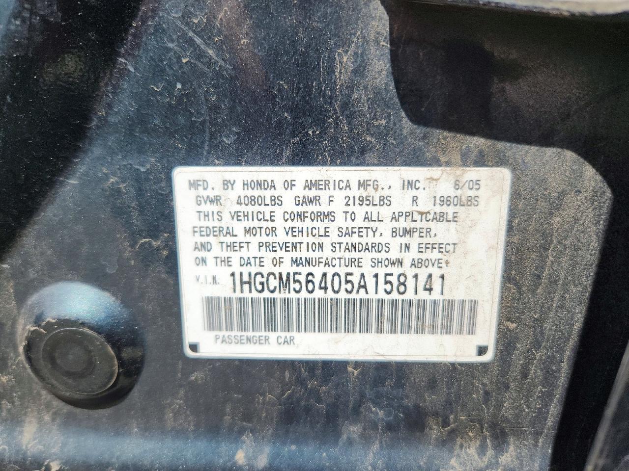 2005 Honda Accord Lx Green vin: 1HGCM56405A158141
