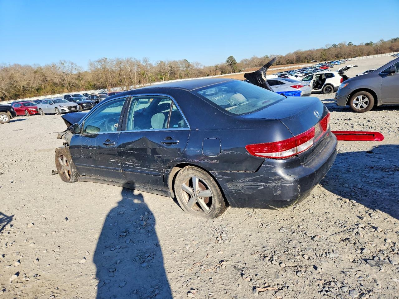 2003 Honda Accord Lx Gray vin: 1HGCM56413A031377