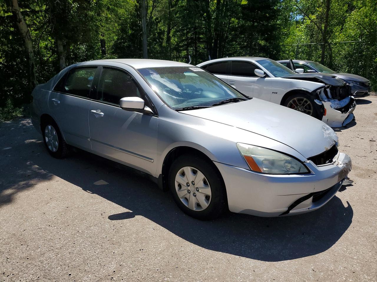 2003 Honda Accord Lx Silver vin: 1HGCM56423A812618