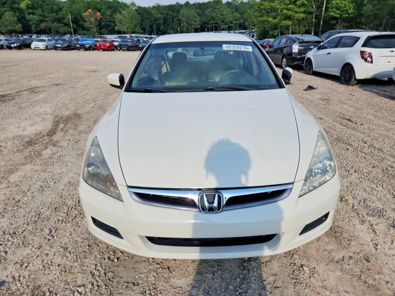 2006 Honda Accord Lx White vin: 1HGCM56426A007125