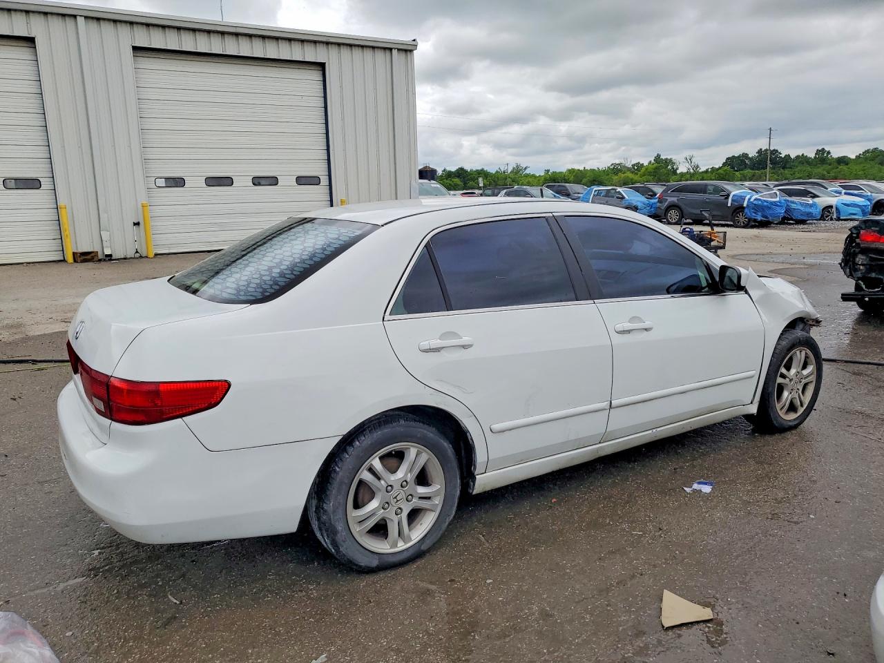 2005 Honda Accord Lx White vin: 1HGCM56435A078901