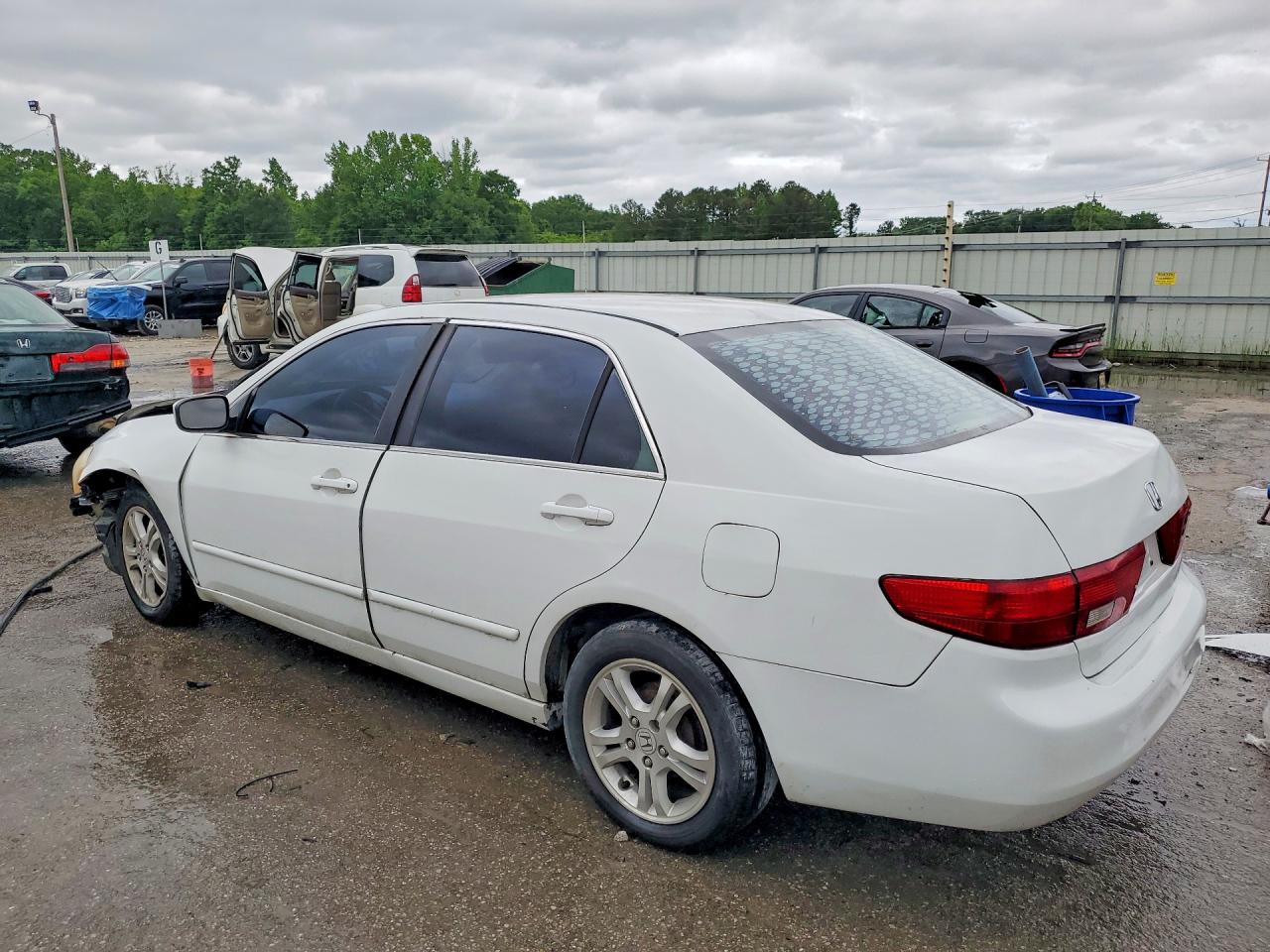 2005 Honda Accord Lx White vin: 1HGCM56435A078901