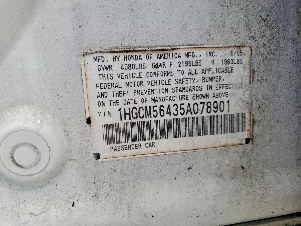 2005 Honda Accord Lx White vin: 1HGCM56435A078901