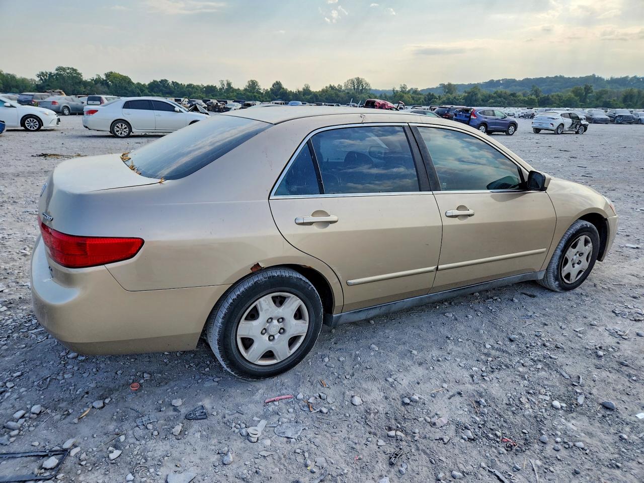 2005 Honda Accord Lx Gold vin: 1HGCM56435A138384