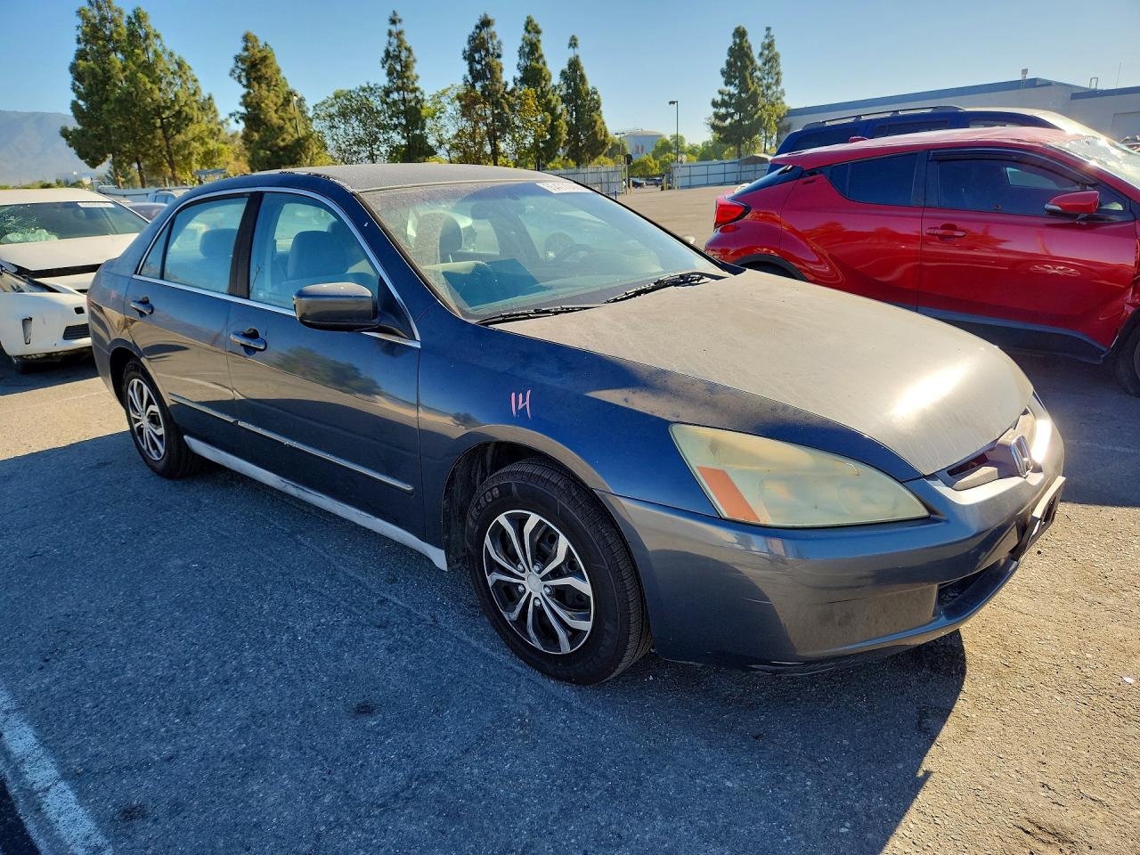 2005 Honda Accord Lx Blue vin: 1HGCM56435A193496