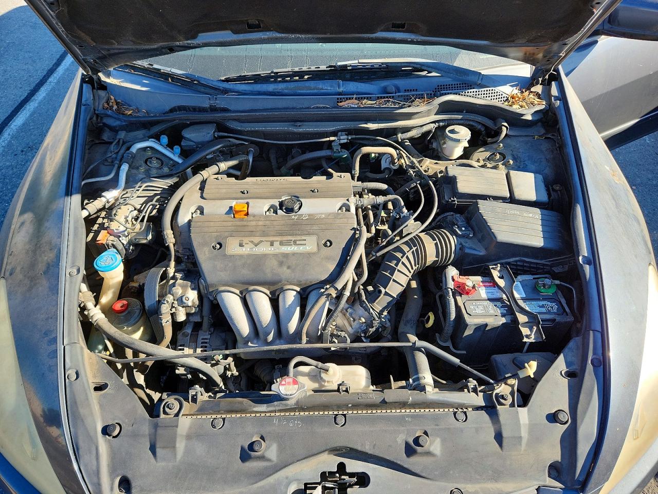 2005 Honda Accord Lx Blue vin: 1HGCM56435A193496