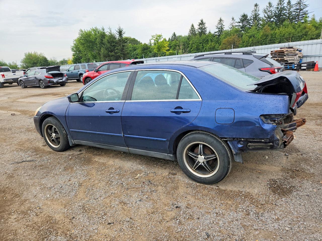 2005 Honda Accord Lx Синий vin: 1HGCM56445A812512