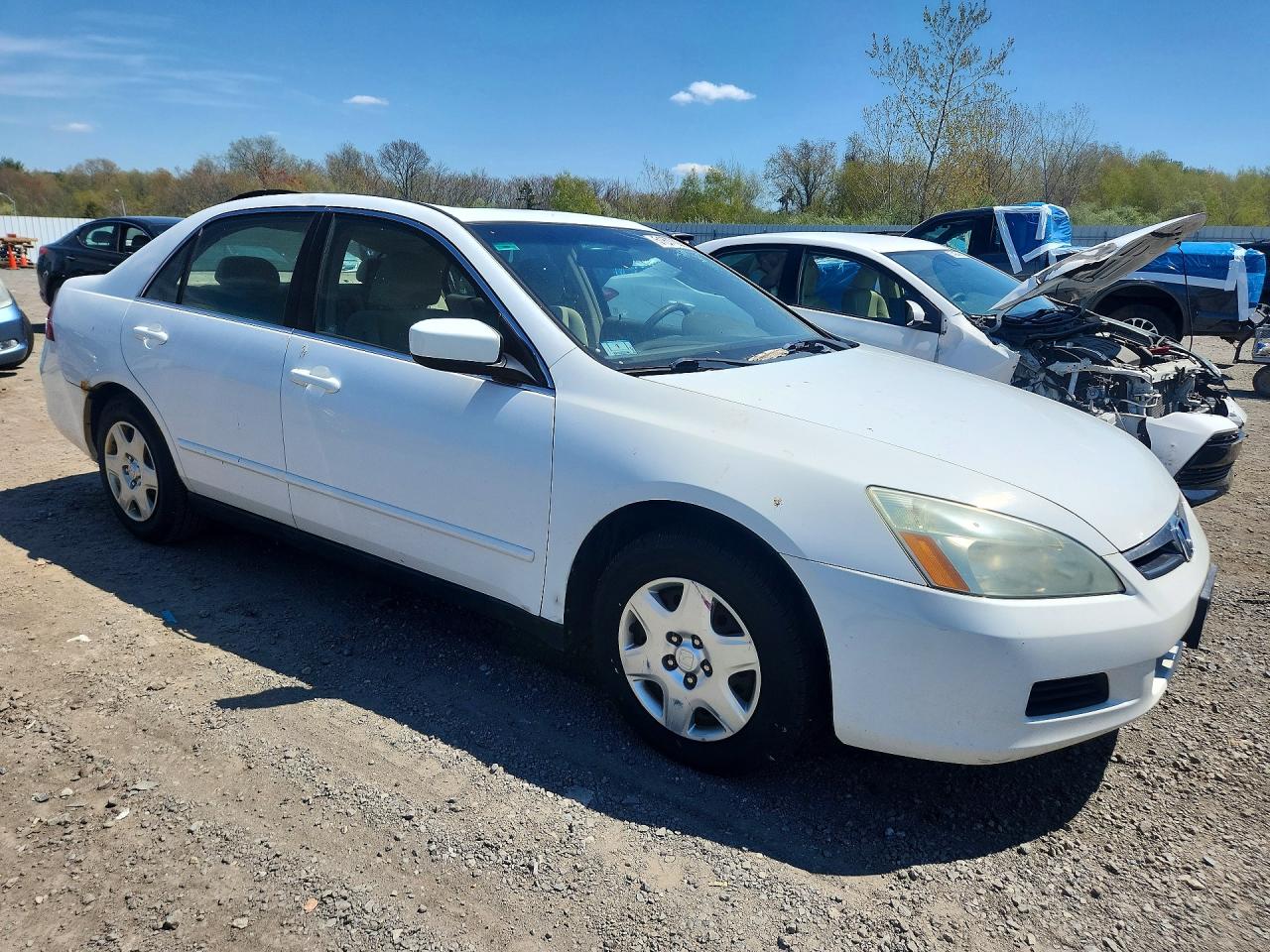 2007 Honda Accord Lx Белый vin: 1HGCM56447A229621
