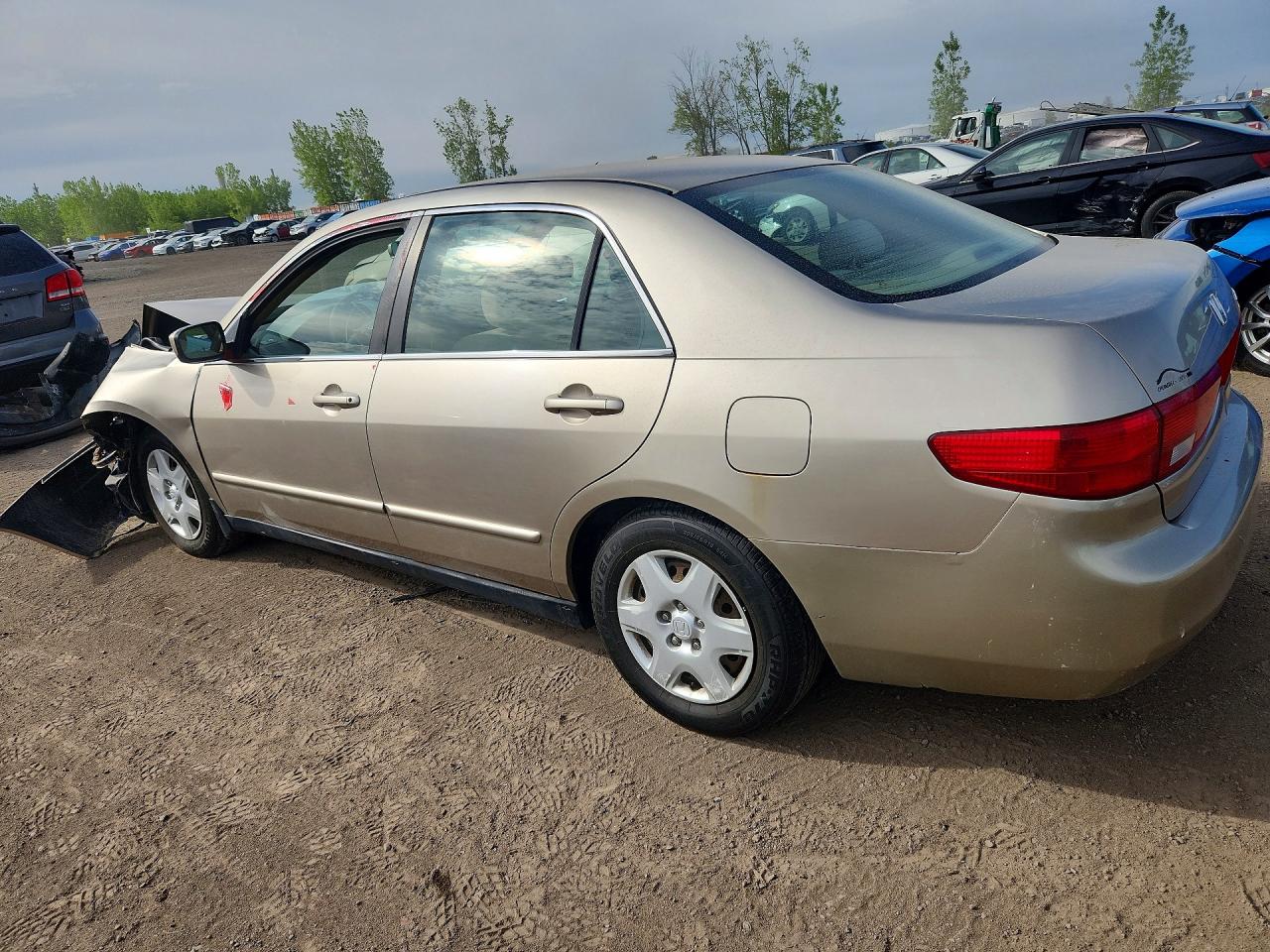2005 Honda Accord Lx Beige vin: 1HGCM56475A806266