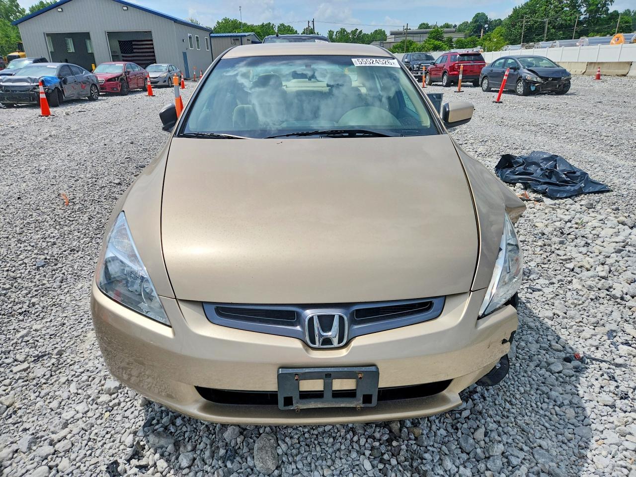 2005 Honda Accord Lx Tan vin: 1HGCM56485A160896