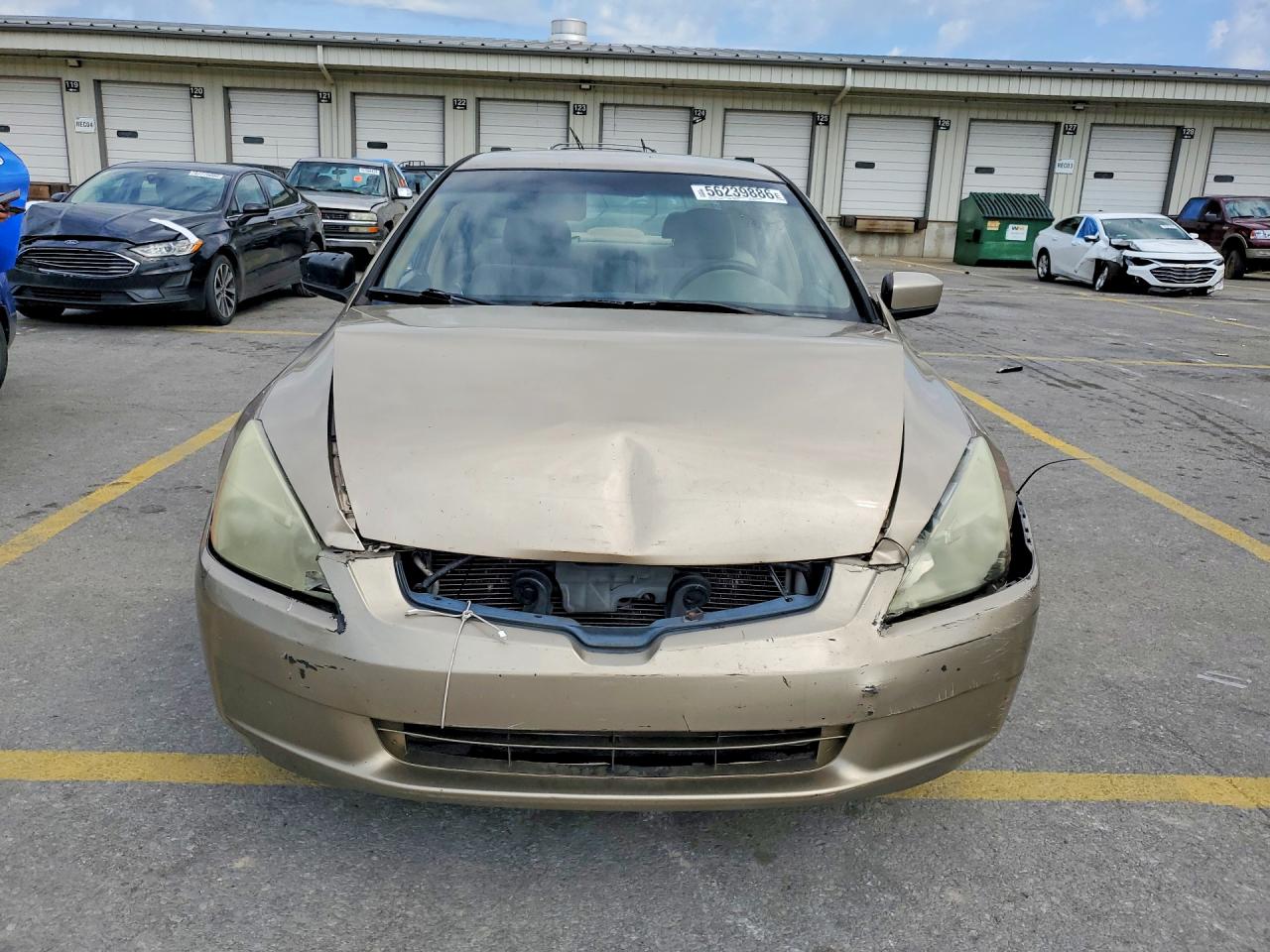 2005 Honda Accord Lx Tan vin: 1HGCM564X5A081813