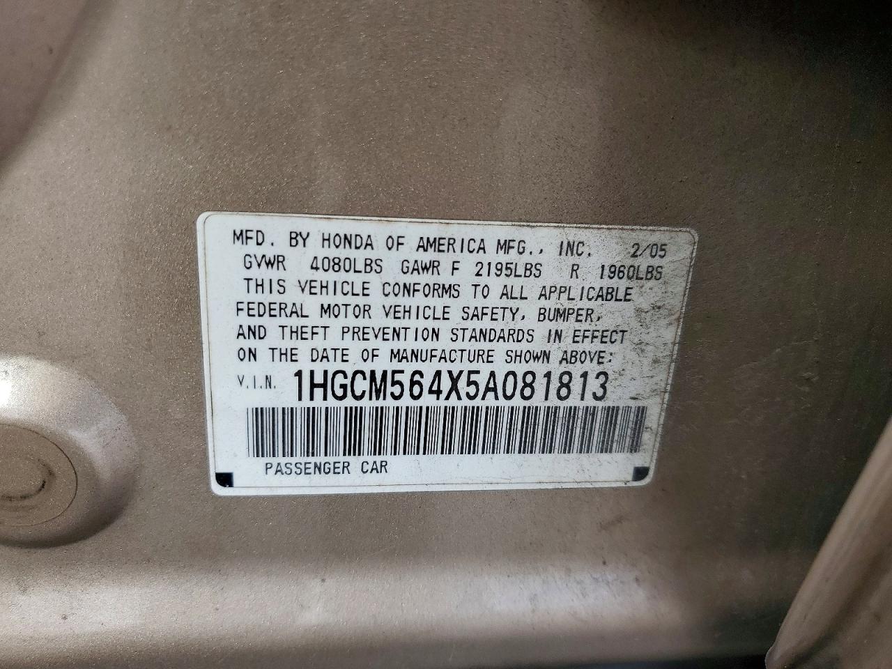 2005 Honda Accord Lx Tan vin: 1HGCM564X5A081813