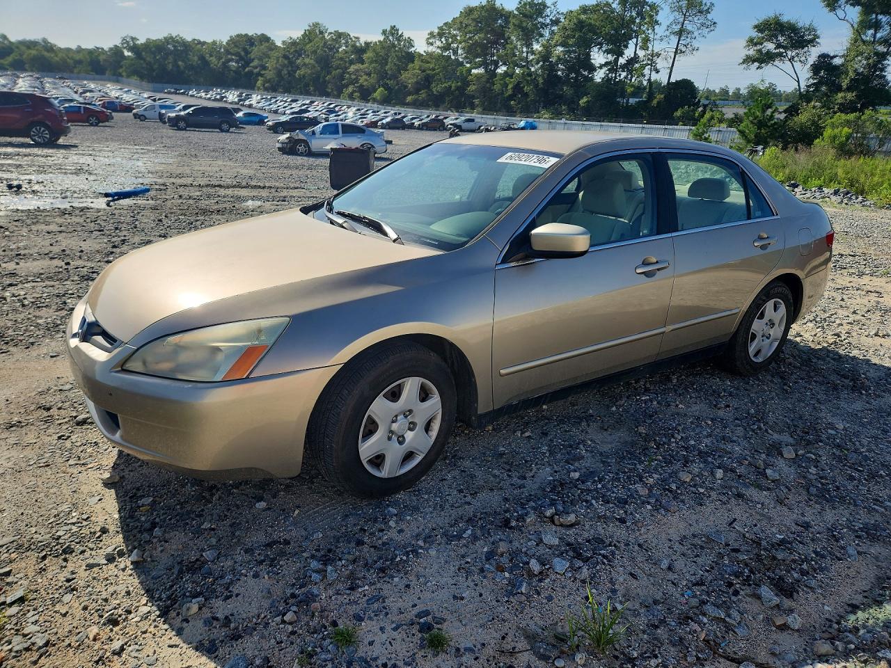 2005 Honda Accord Lx Gold vin: 1HGCM564X5A128399