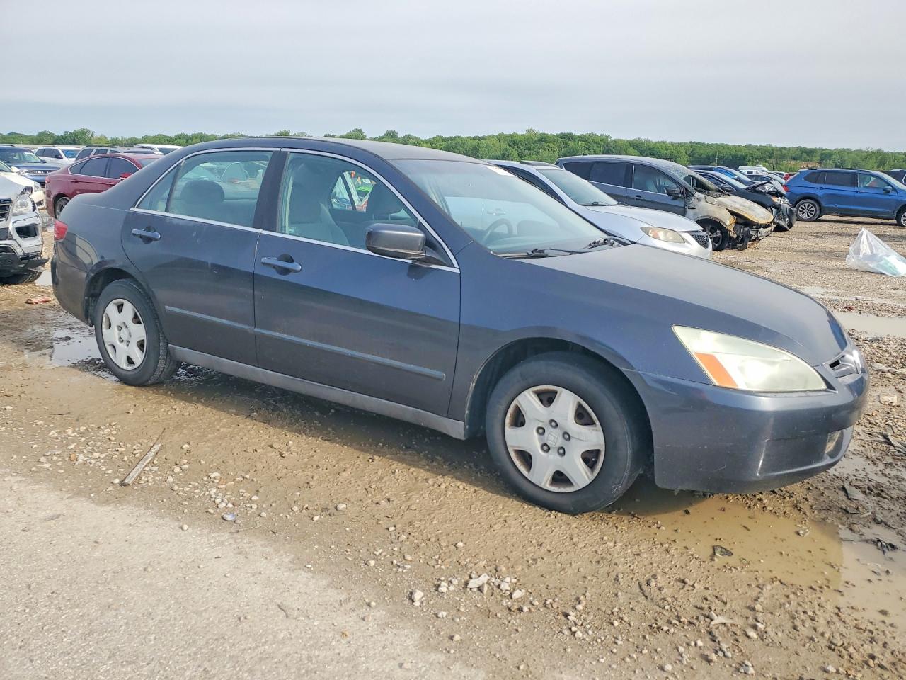 2005 Honda Accord Lx Синий vin: 1HGCM564X5A166909