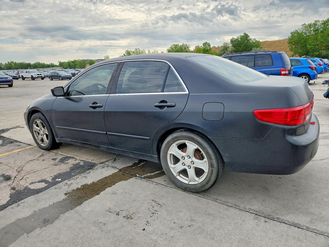2005 Honda Accord Lx Black vin: 1HGCM564X5A179059