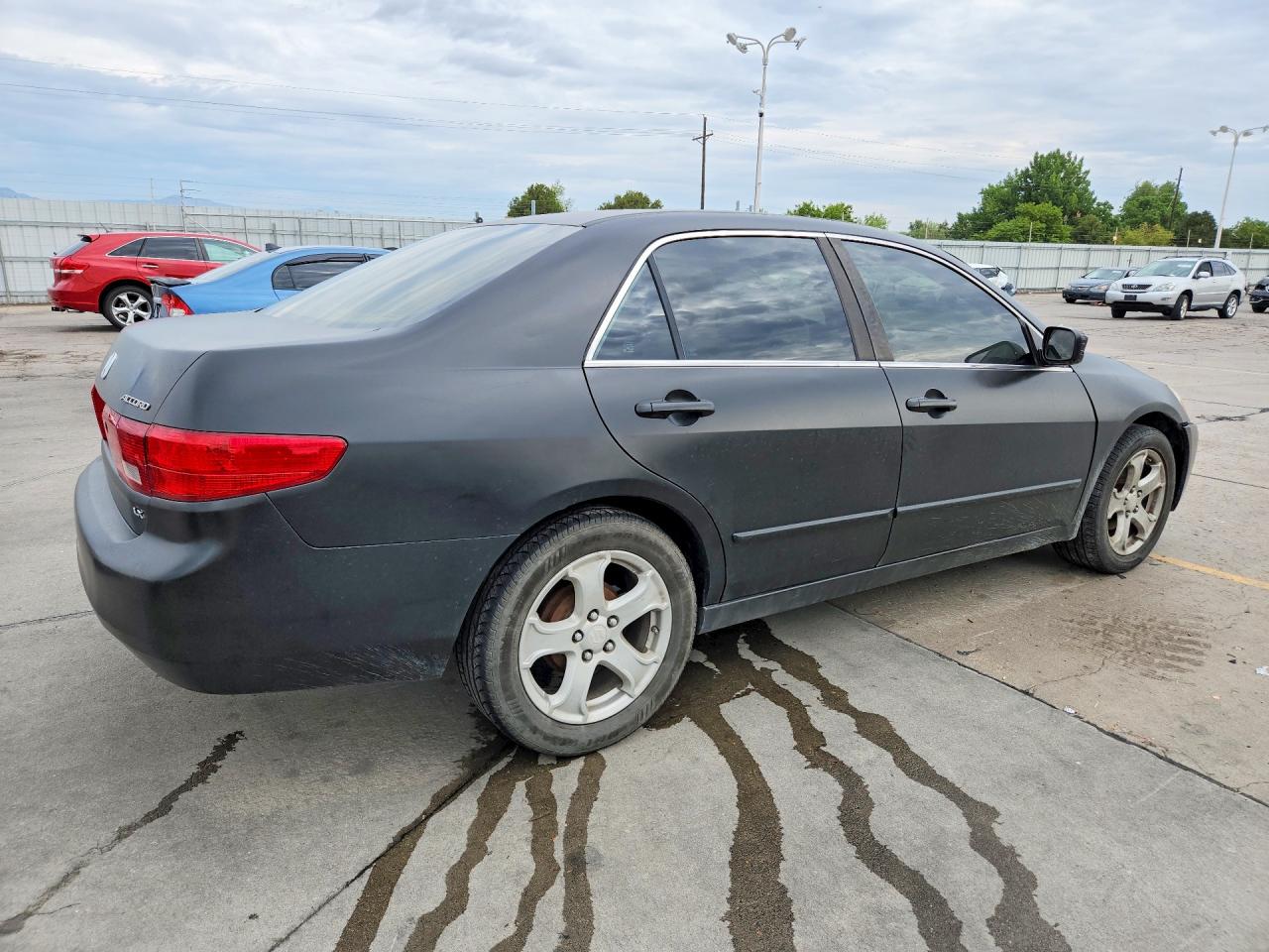 2005 Honda Accord Lx Black vin: 1HGCM564X5A179059
