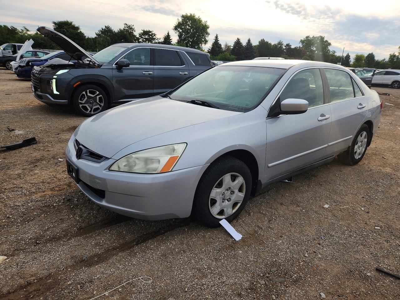 2005 Honda Accord Lx Silver vin: 1HGCM564X5A183936