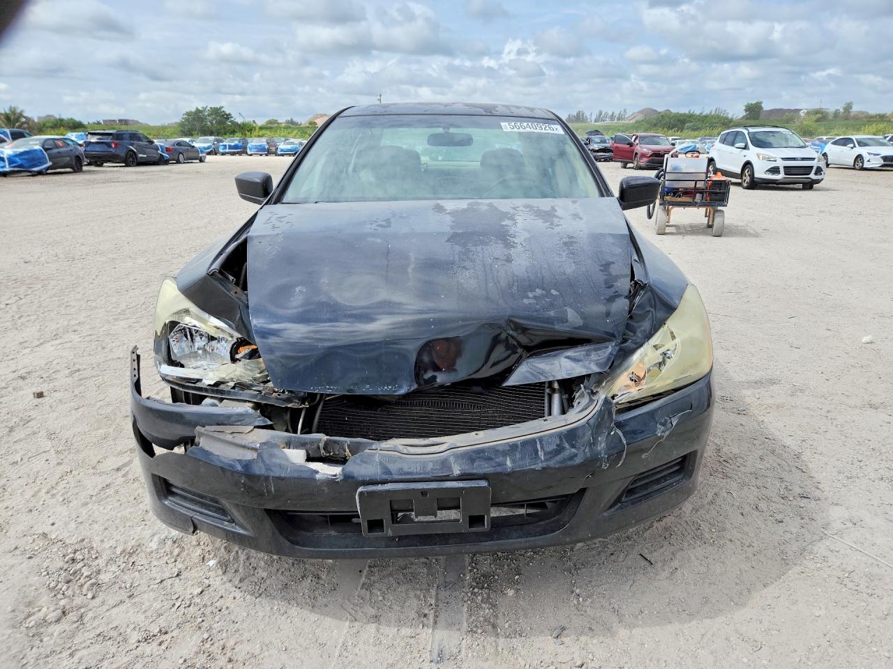 2007 Honda Accord Lx Black vin: 1HGCM564X7A105515