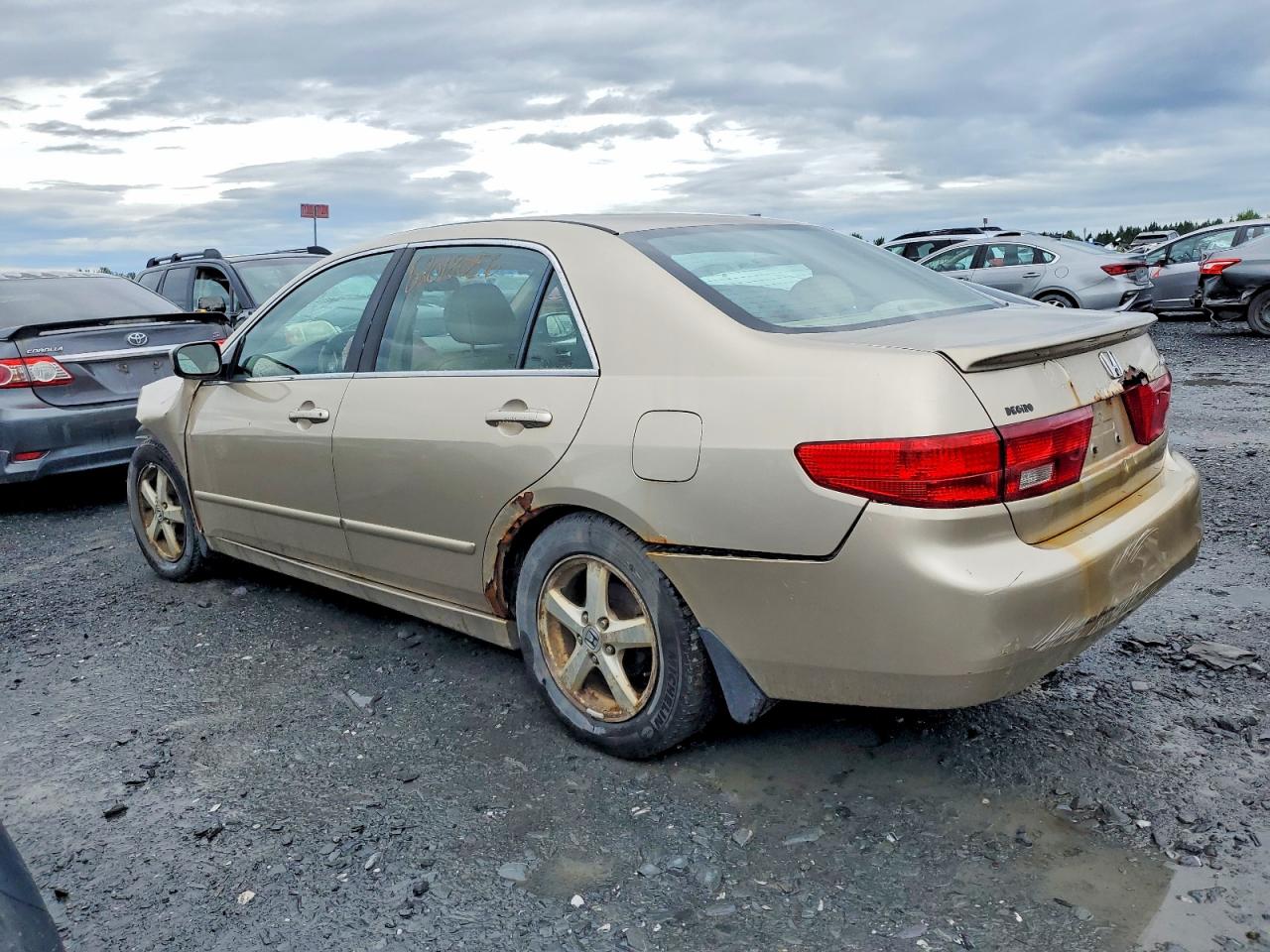2005 Honda Accord Ex Beige vin: 1HGCM56605A805347