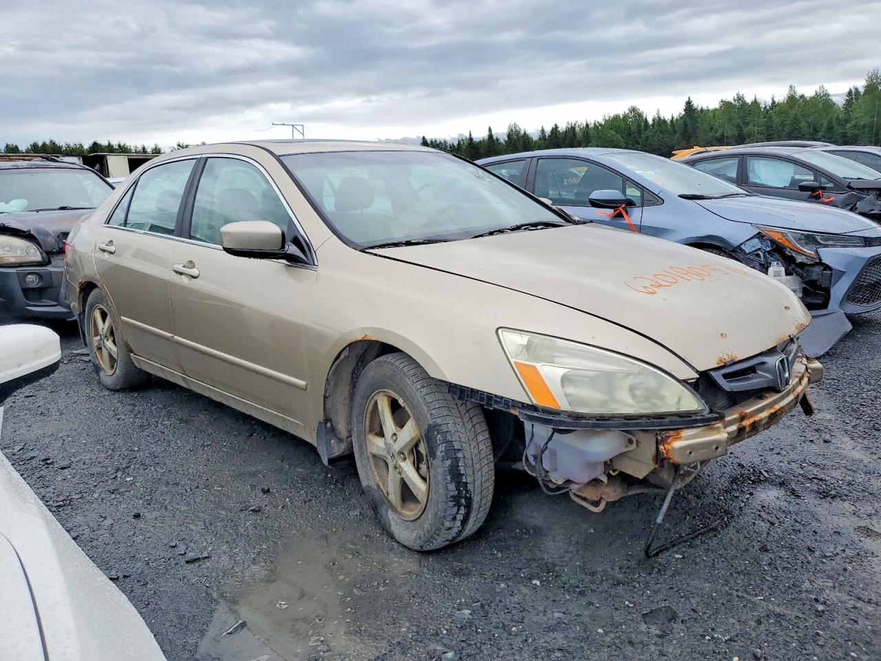 2005 Honda Accord Ex Beige vin: 1HGCM56605A805347