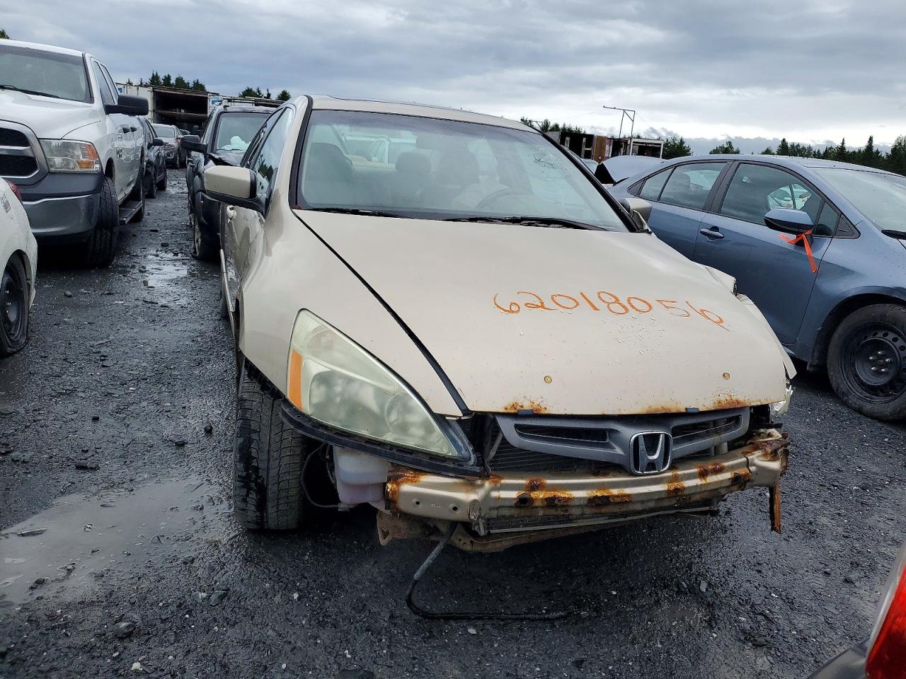 2005 Honda Accord Ex Beige vin: 1HGCM56605A805347