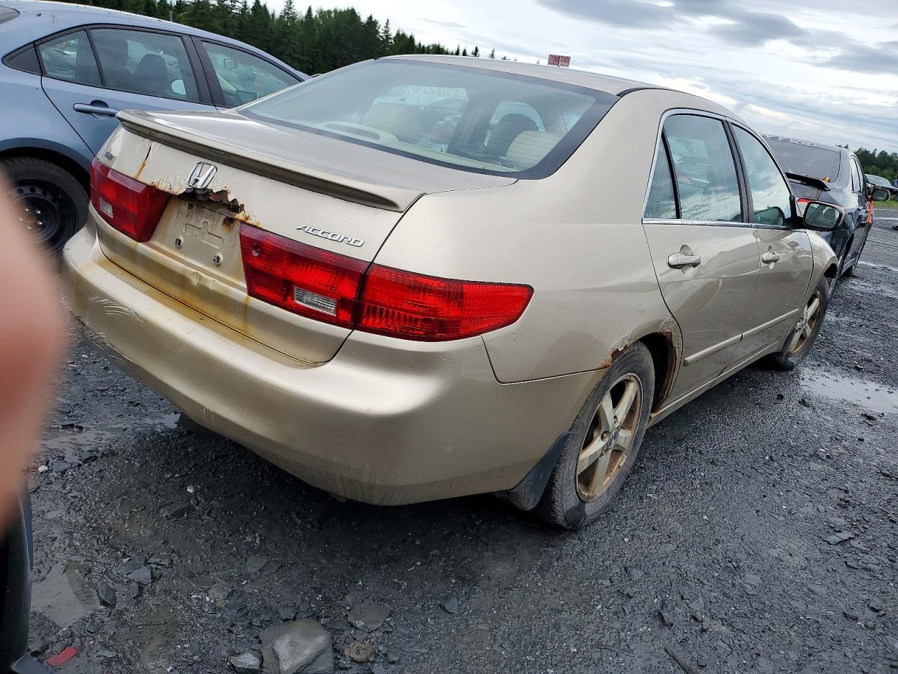 2005 Honda Accord Ex Beige vin: 1HGCM56605A805347