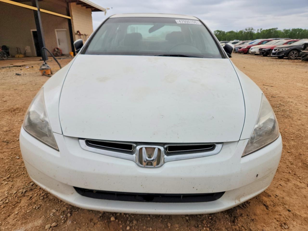 2004 Honda Accord Ex White vin: 1HGCM56614A007034