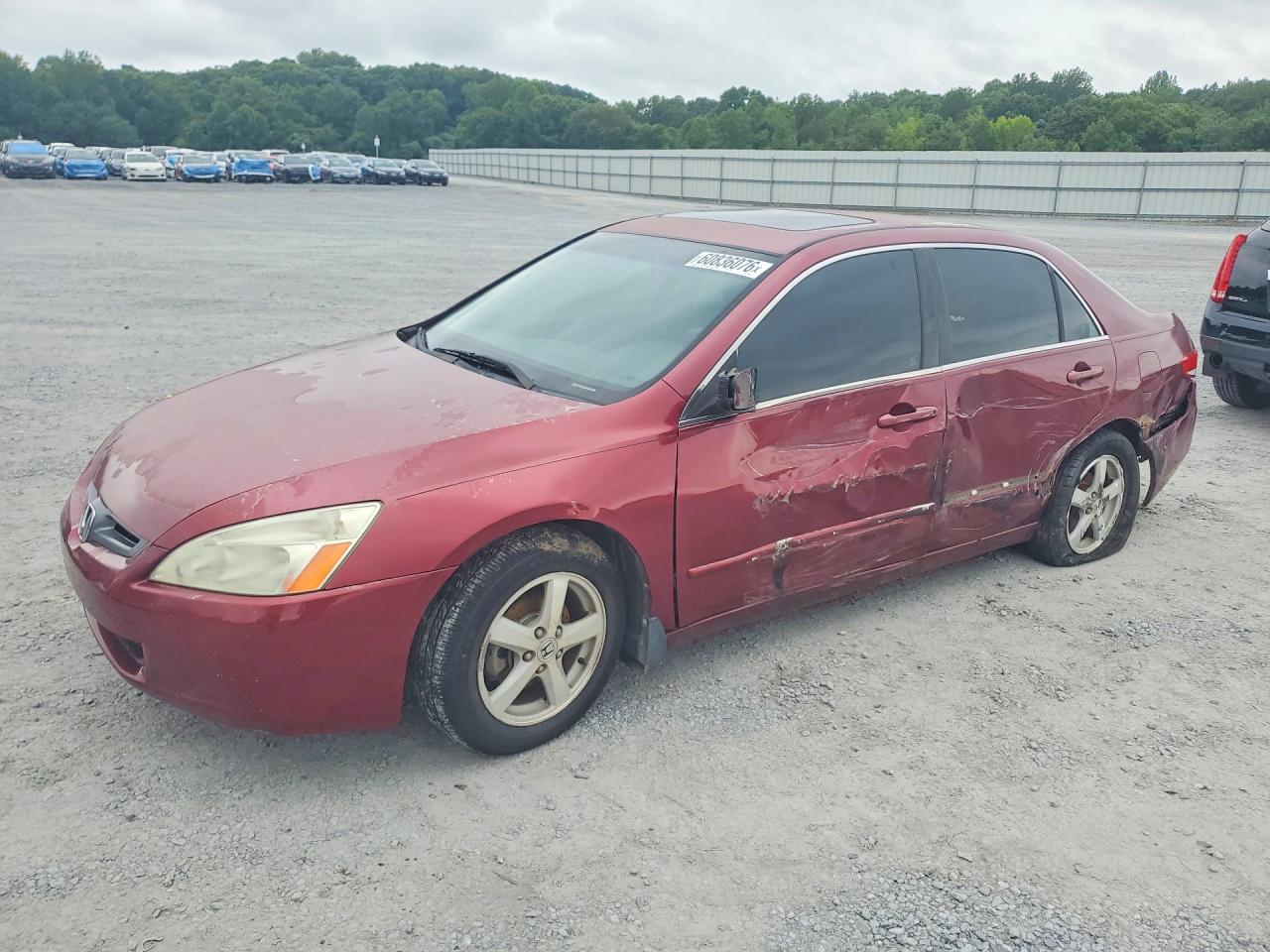 2004 Honda Accord Ex Бордовый vin: 1HGCM56624A161641