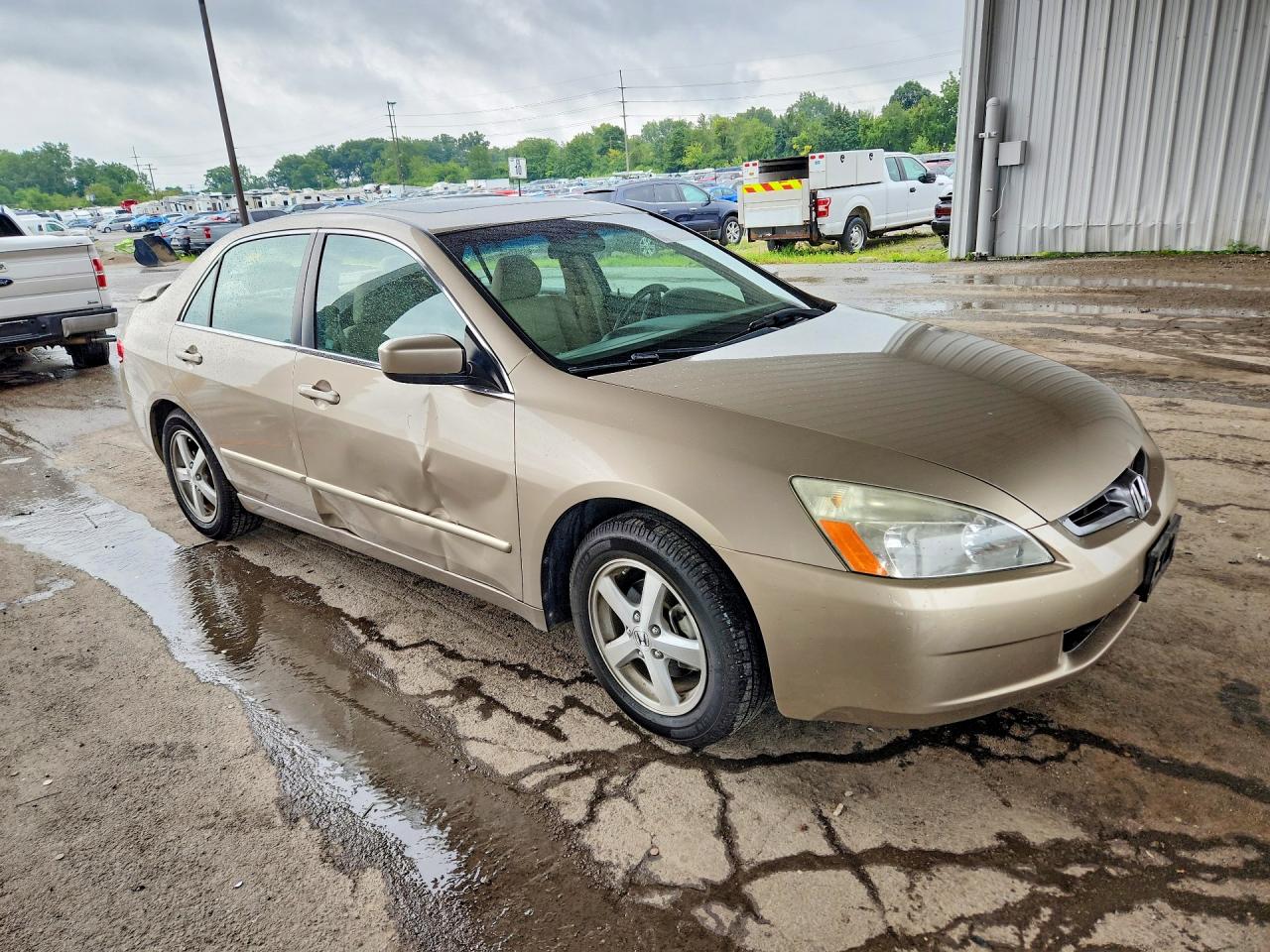 2003 Honda Accord Ex Gold vin: 1HGCM56673A098907