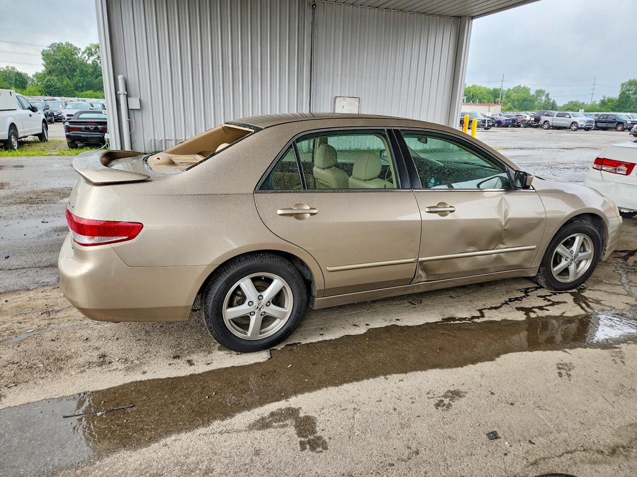 2003 Honda Accord Ex Gold vin: 1HGCM56673A098907