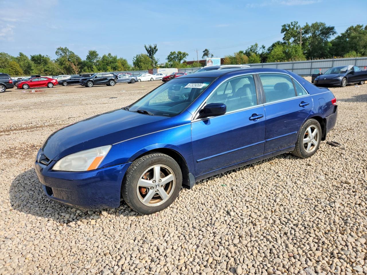 2003 Honda Accord Ex Blue vin: 1HGCM56683A031216