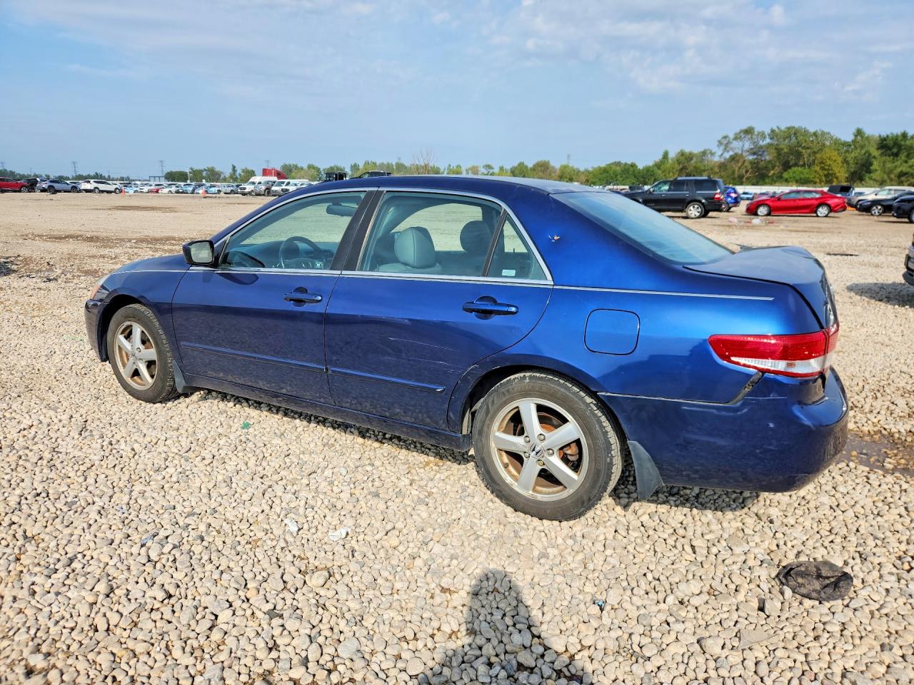 2003 Honda Accord Ex Blue vin: 1HGCM56683A031216