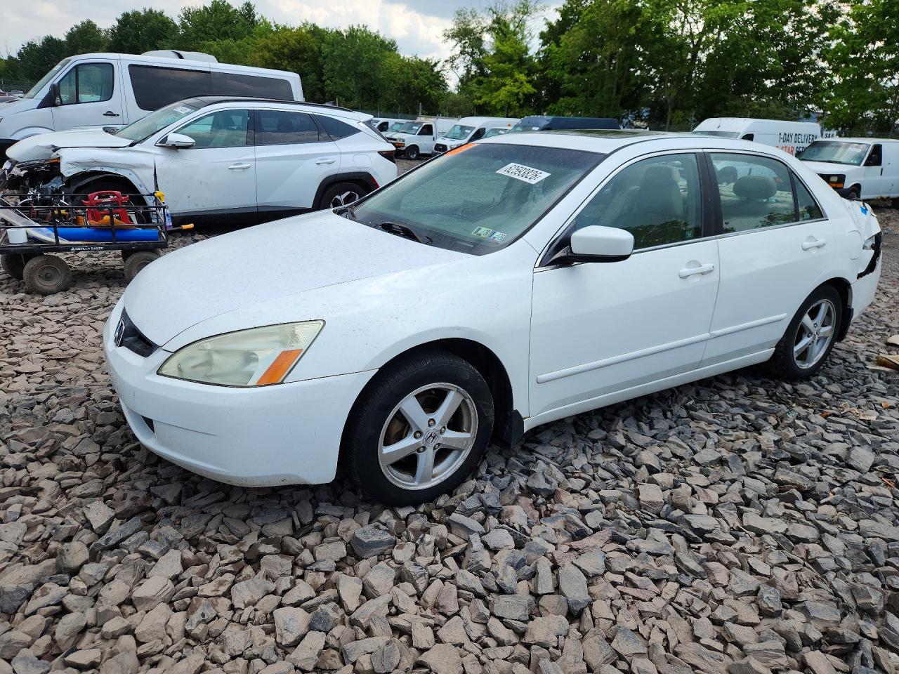 2003 Honda Accord Ex White vin: 1HGCM56693A088329