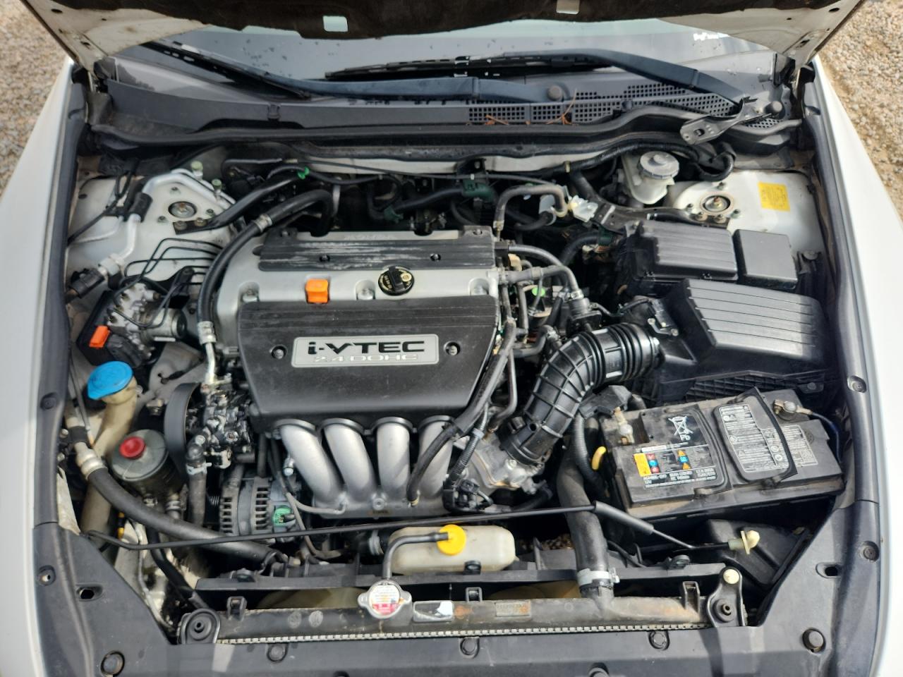 2006 Honda Accord Ex White vin: 1HGCM56706A150875