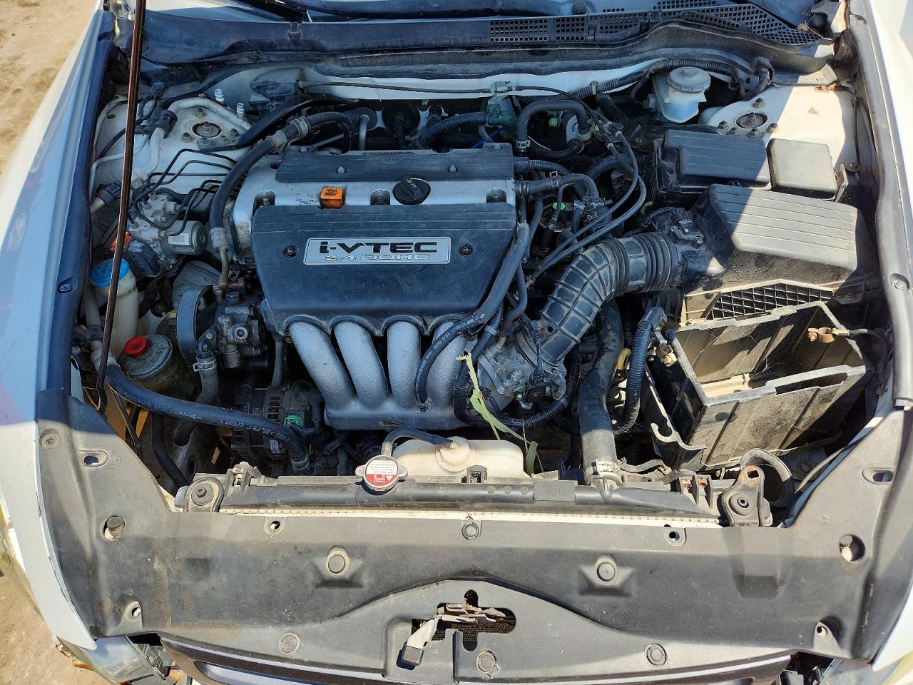 2005 Honda Accord Ex White vin: 1HGCM56715A078373