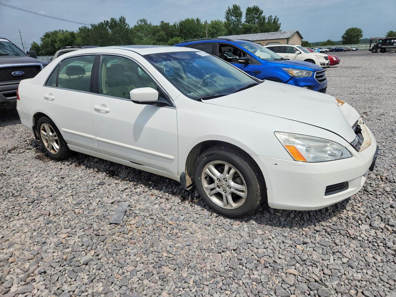 2006 Honda Accord Ex White vin: 1HGCM56716A143658