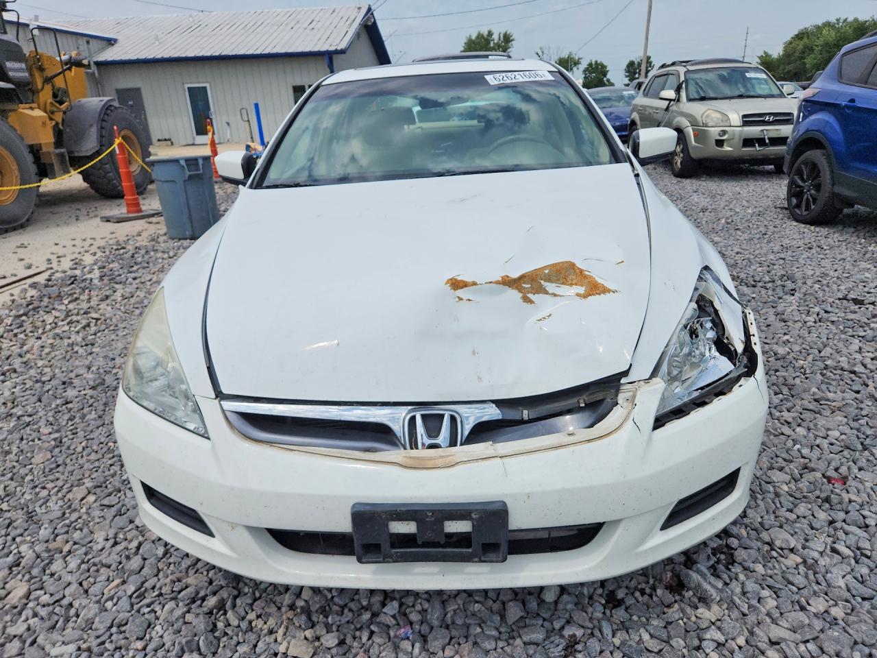 2006 Honda Accord Ex White vin: 1HGCM56716A143658