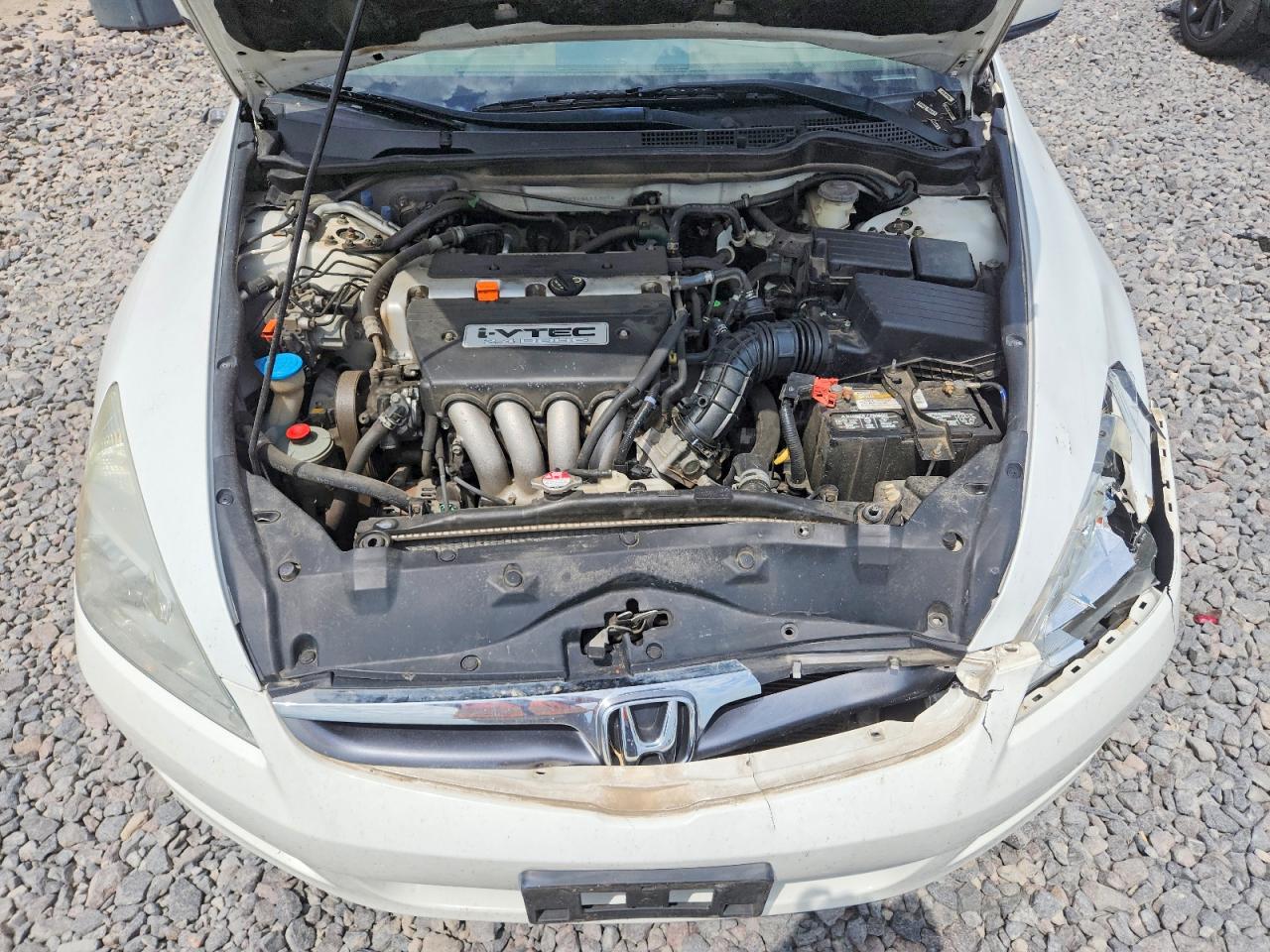 2006 Honda Accord Ex White vin: 1HGCM56716A143658
