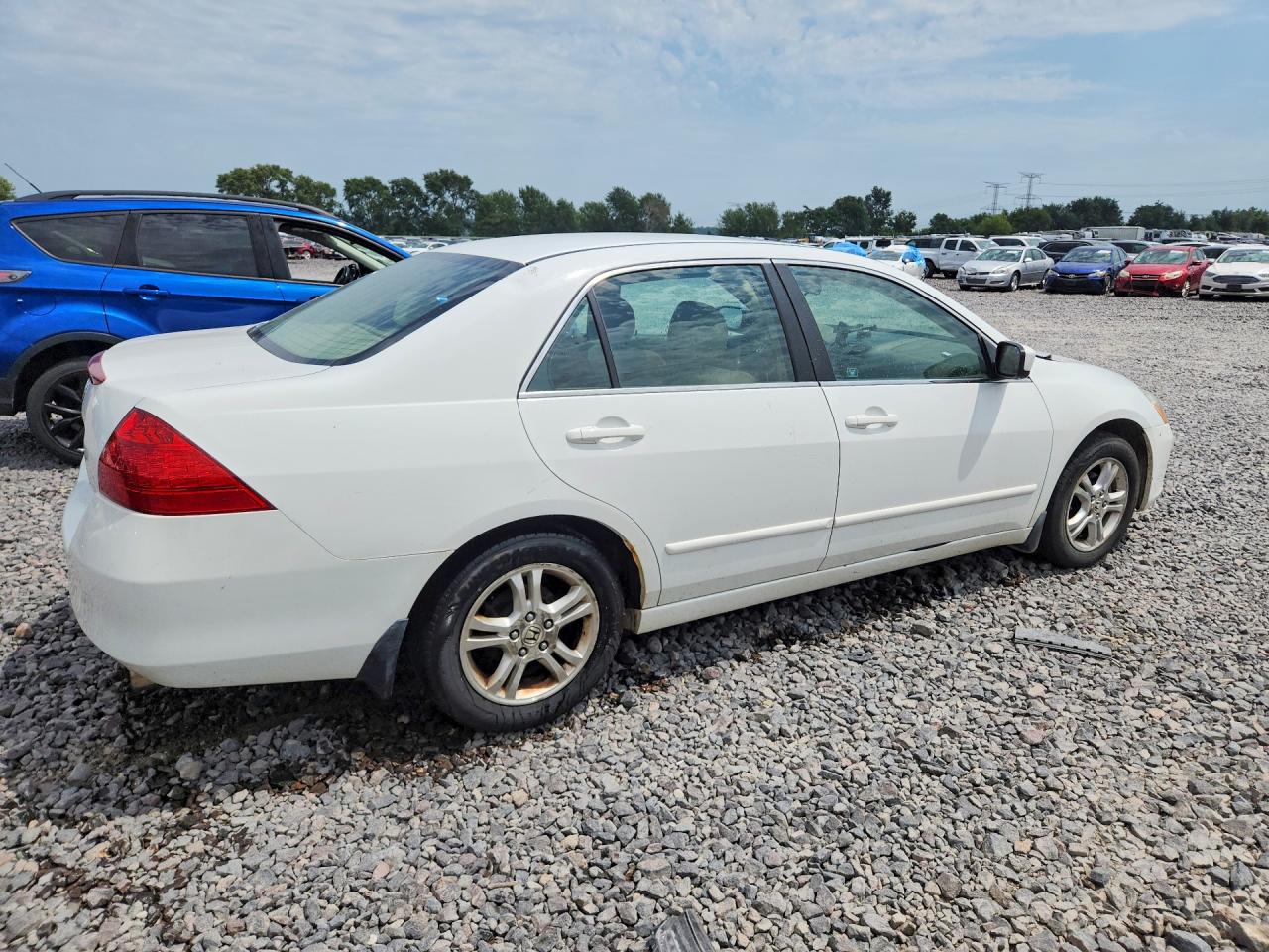 2006 Honda Accord Ex White vin: 1HGCM56716A143658