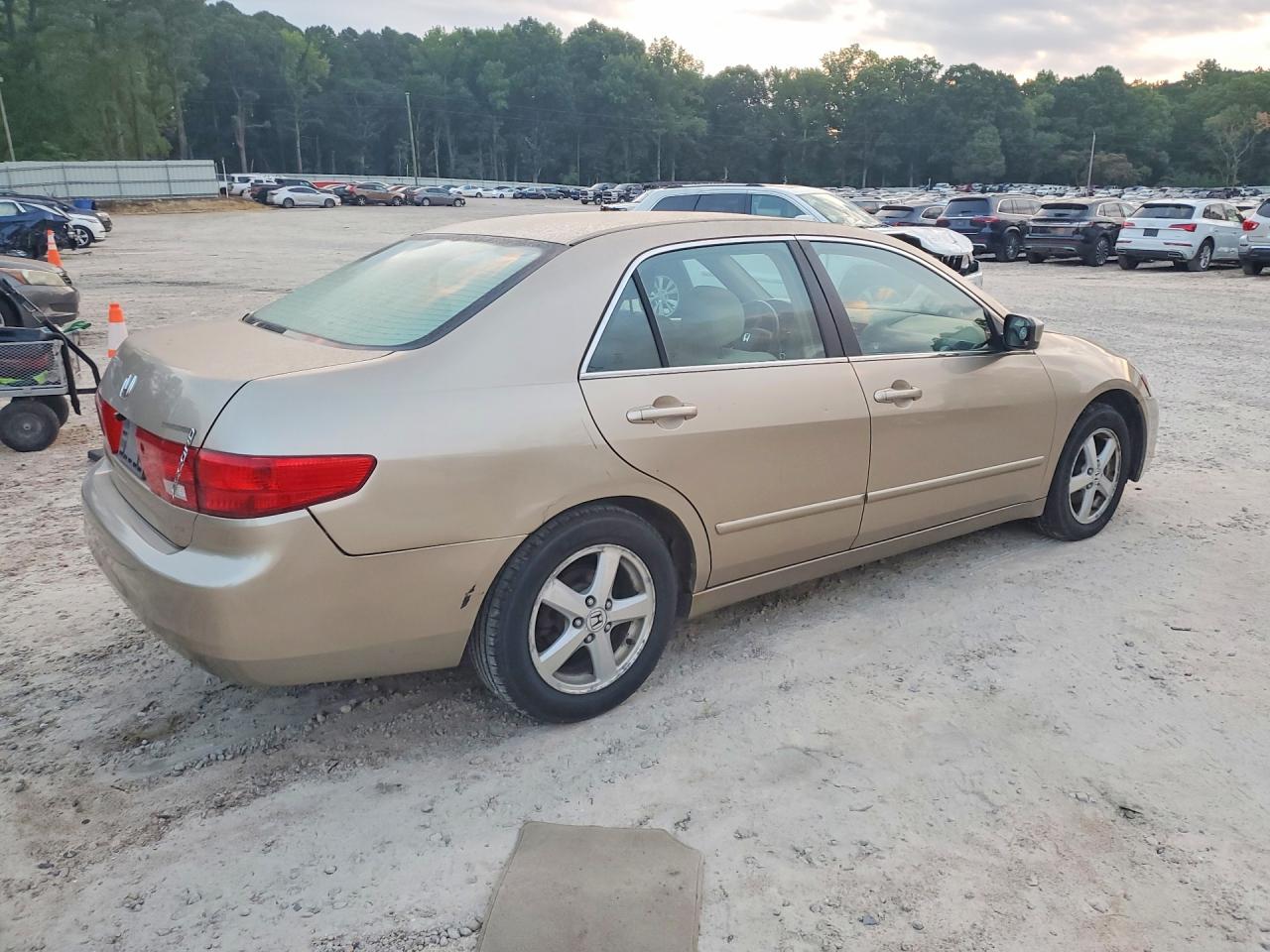 2005 Honda Accord Ex Золотой vin: 1HGCM56725A101871