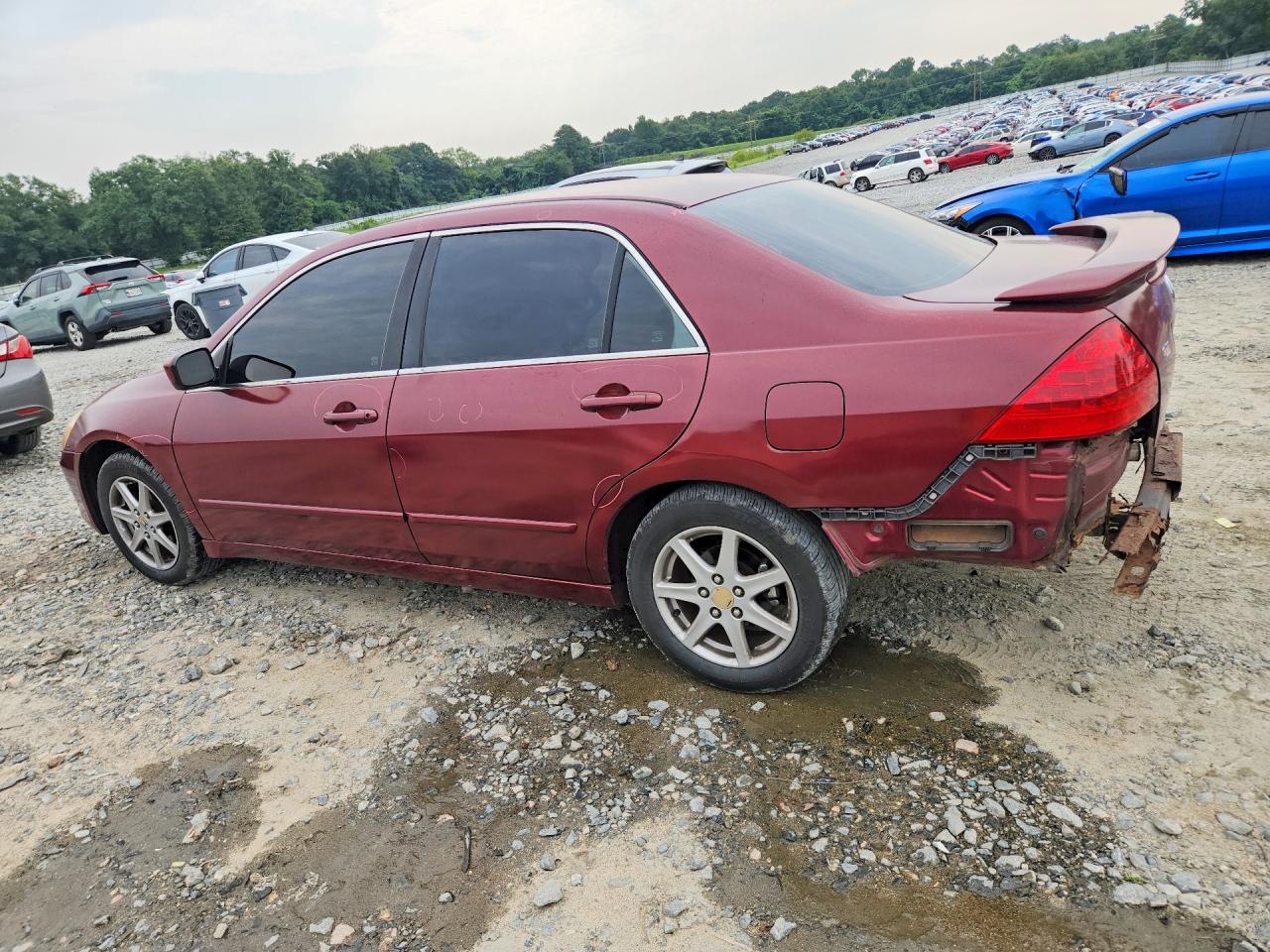 2006 Honda Accord Ex Burgundy vin: 1HGCM56726A102942