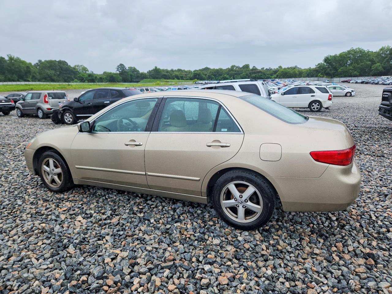 2005 Honda Accord Ex Золотой vin: 1HGCM56735A063194