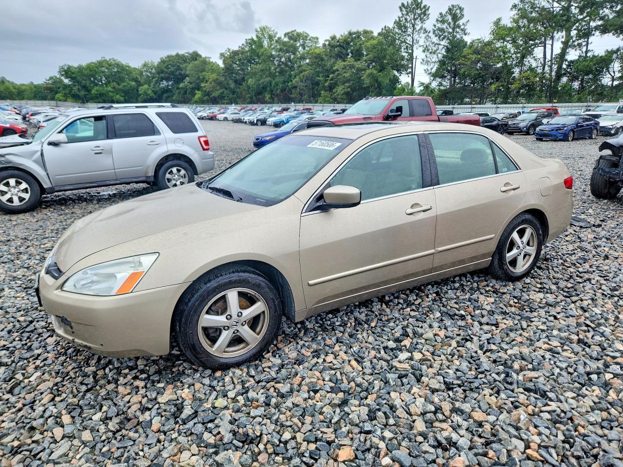 2005 Honda Accord Ex Золотой vin: 1HGCM56735A063194