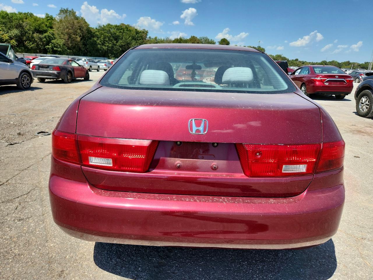 2005 Honda Accord Ex Красный vin: 1HGCM56745A035095