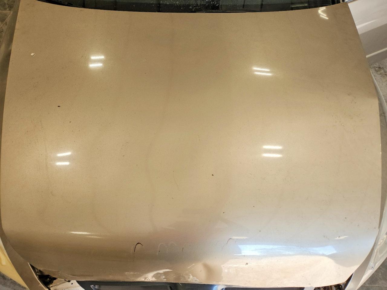 2005 Honda Accord Ex Tan vin: 1HGCM56745A074981