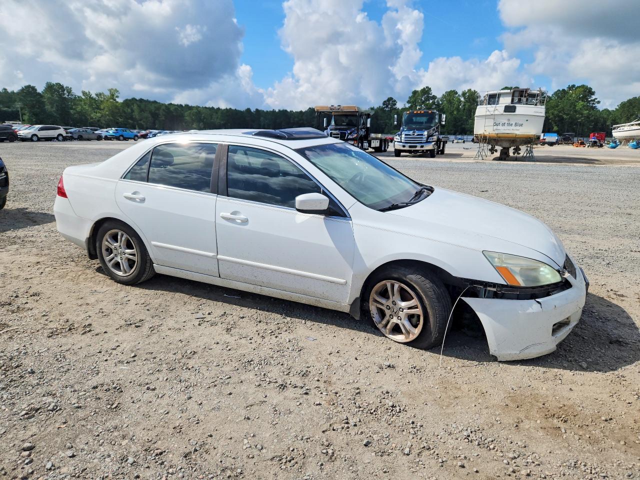 2006 Honda Accord Ex White vin: 1HGCM56746A144691