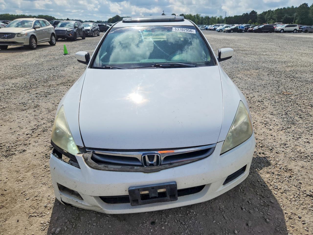 2006 Honda Accord Ex White vin: 1HGCM56746A144691