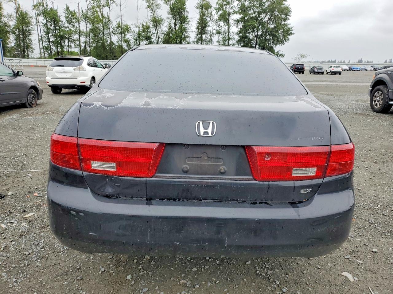 2005 Honda Accord Ex Черный vin: 1HGCM56755A132032