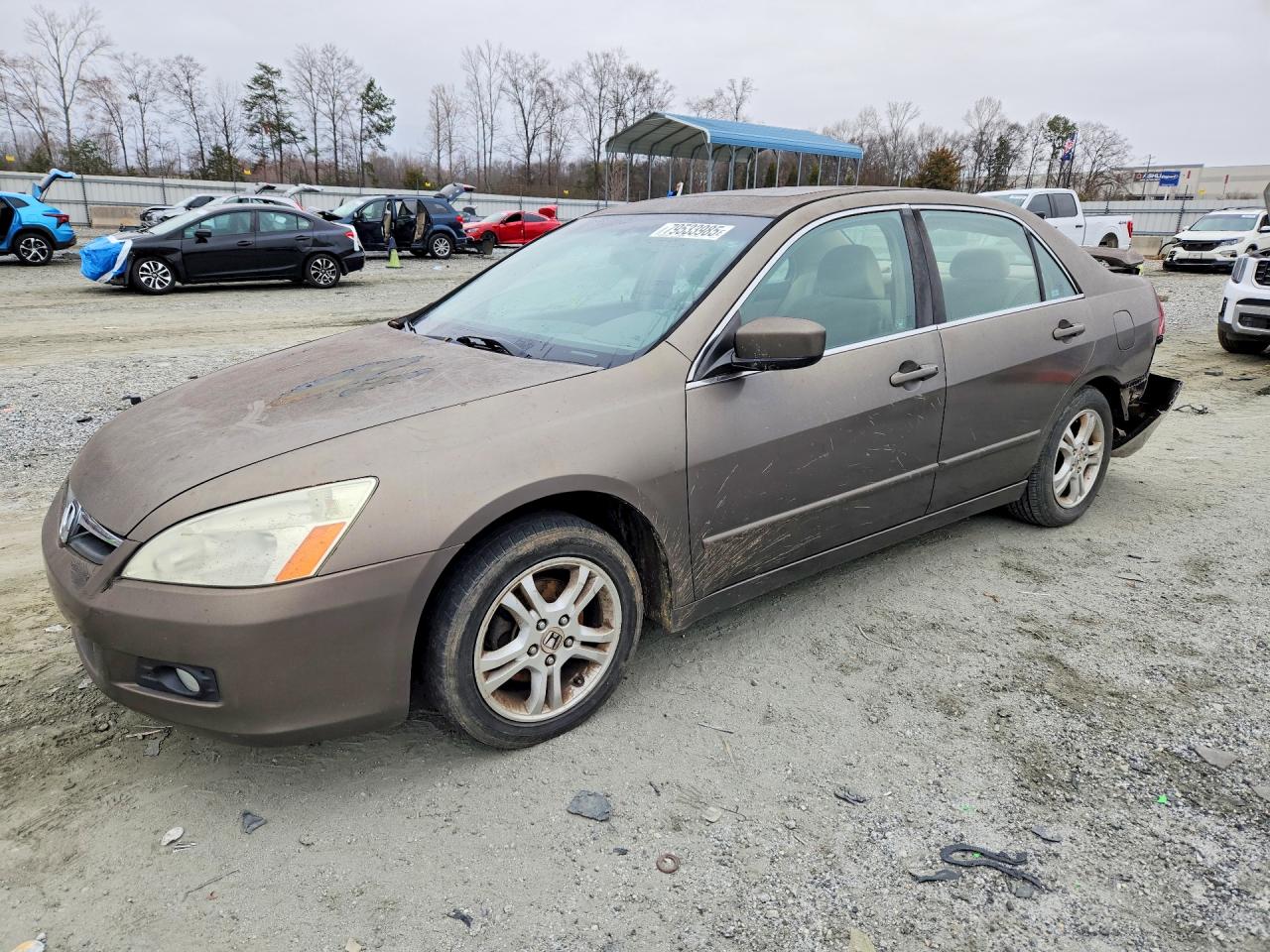 2006 Honda Accord Ex Gray vin: 1HGCM56766A040784